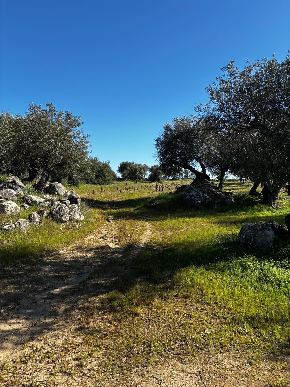 WhatsApp Image 2026-02-16 at 13.03.00 (3)