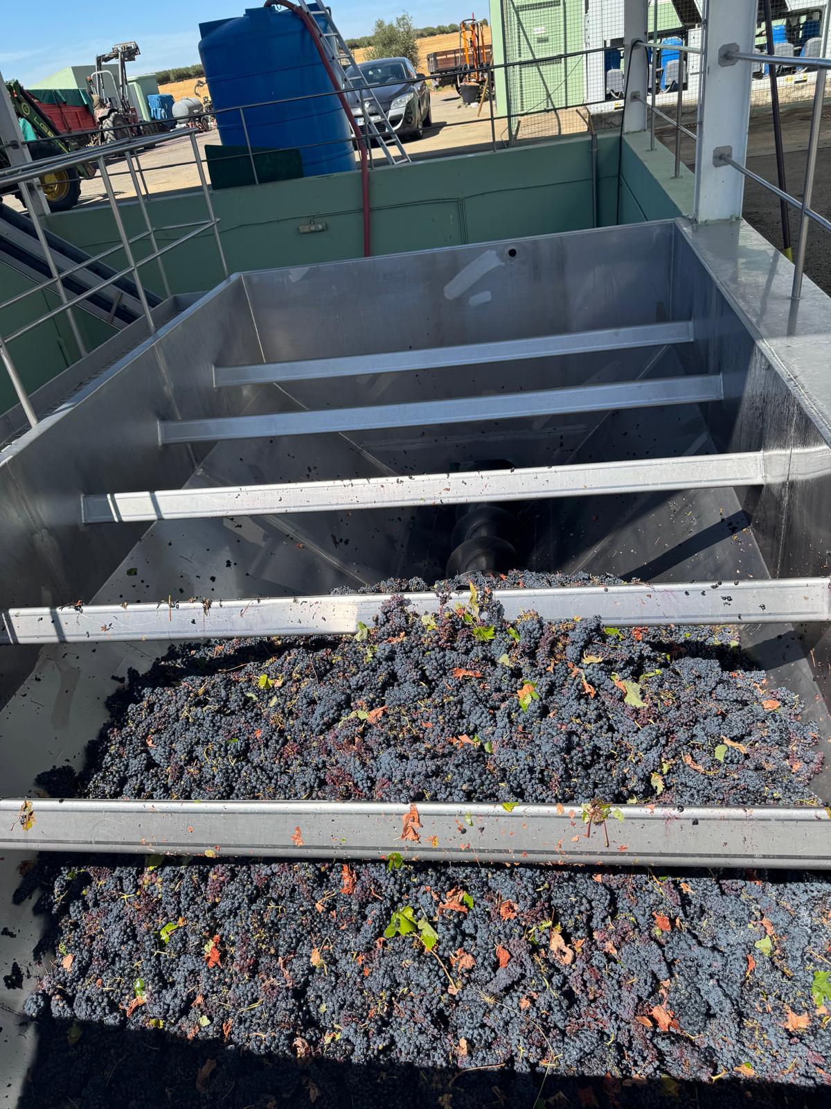 WhatsApp Image 2026-02-16 at 15.12.24 (1)