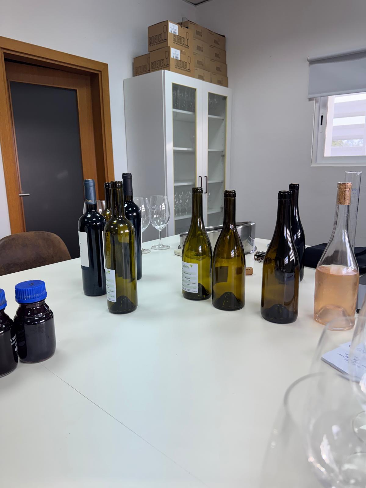 WhatsApp Image 2026-02-16 at 15.13.19 (2)